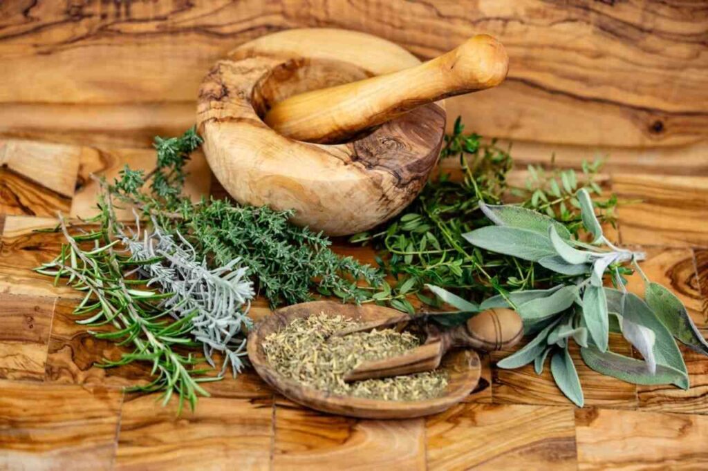 10 Best Natural Remedies for Pet Health: Safe Tips for Pets