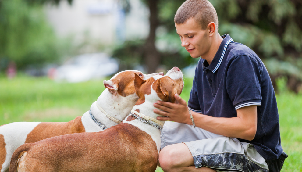 A calm owner preparing their dog for a PET scan with the correct diet and fasting.