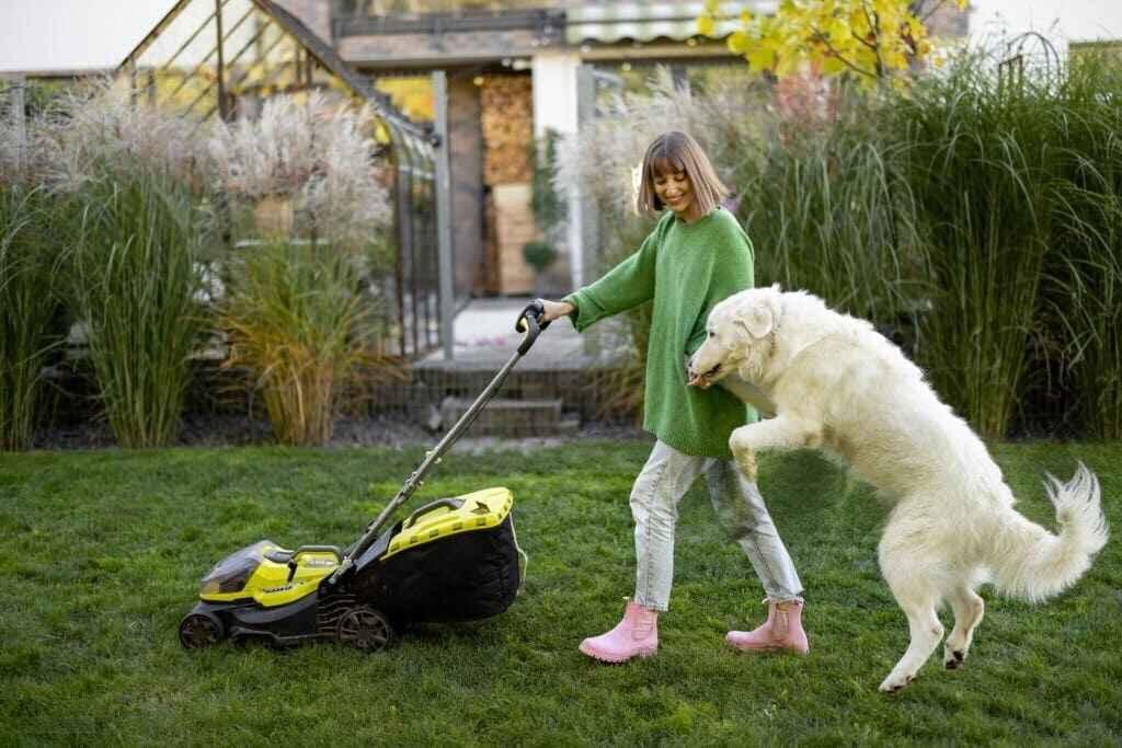 Pet-Friendly Lawn Care: Safe and Affordable Tips Pet Owners