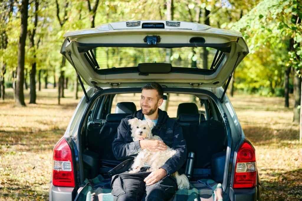 Pet Mode Car Feature Explained: Keep Your Pet Safe and Cool