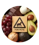 Assorted pet food ingredients with a wooden sign labeled “For Pets.”